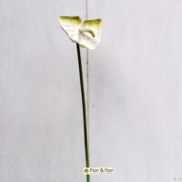 fiore artificiale anthurium bianco