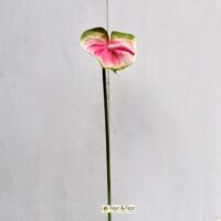 fiore artificiale anthurium rosa