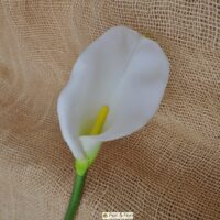 Calla artificiale