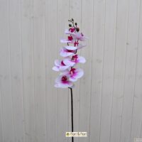 Fiore artificiale Phalaenopsis real touch fucsia