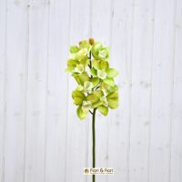 Orchidea artificiale cymbidium verde