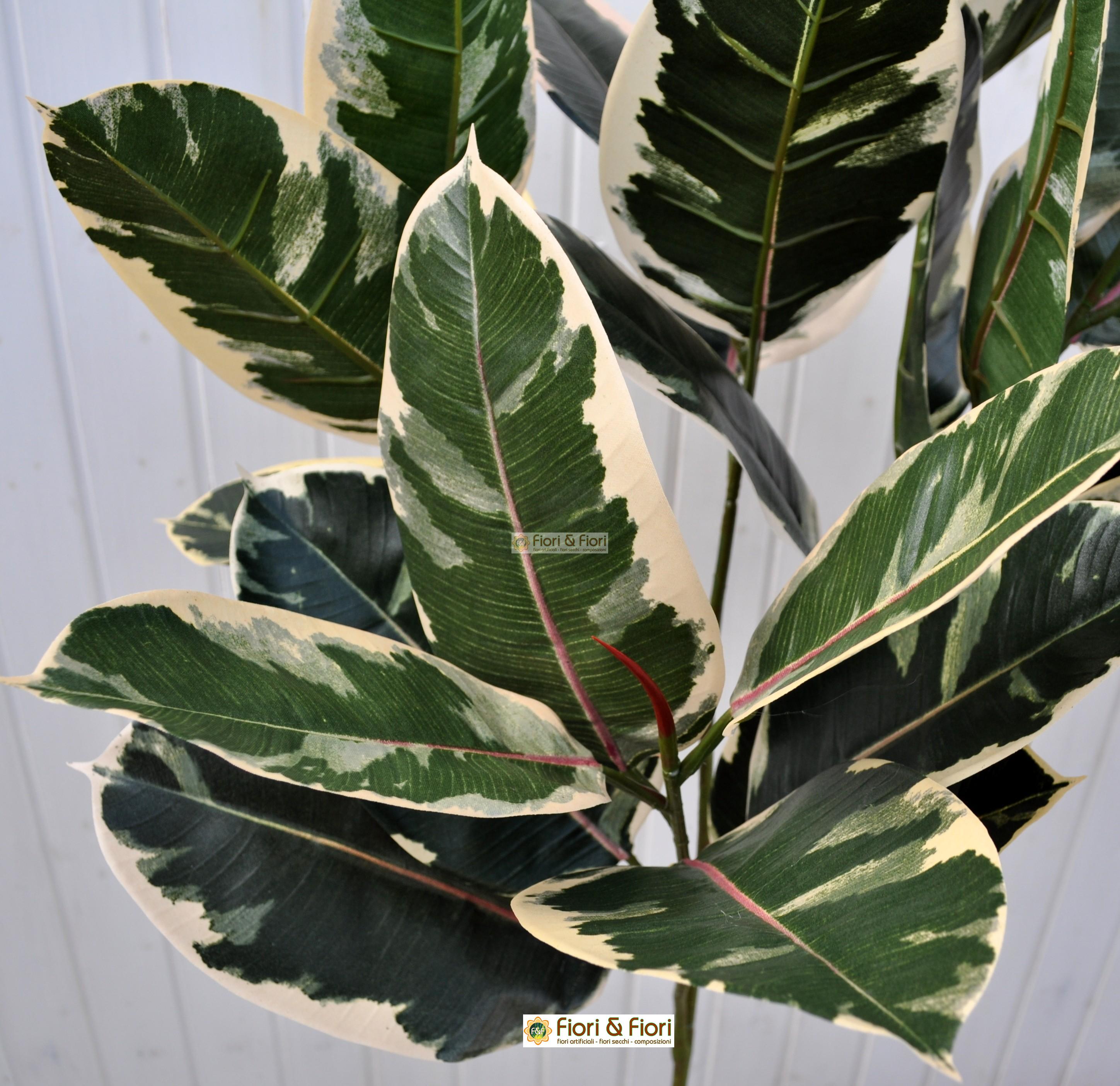 Ficus Artificiale Hawaiian Variegato, Tronco Bosco Da 175 A 250 Cm - Foto 6
