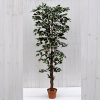 Pianta artificiale Ficus Benjamin variegato 180