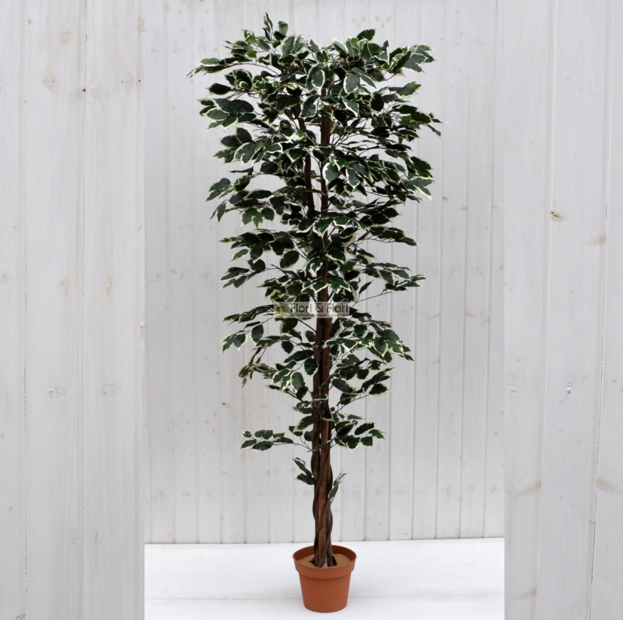 Pianta artificiale Ficus variegato 120h 768 foglie con vaso