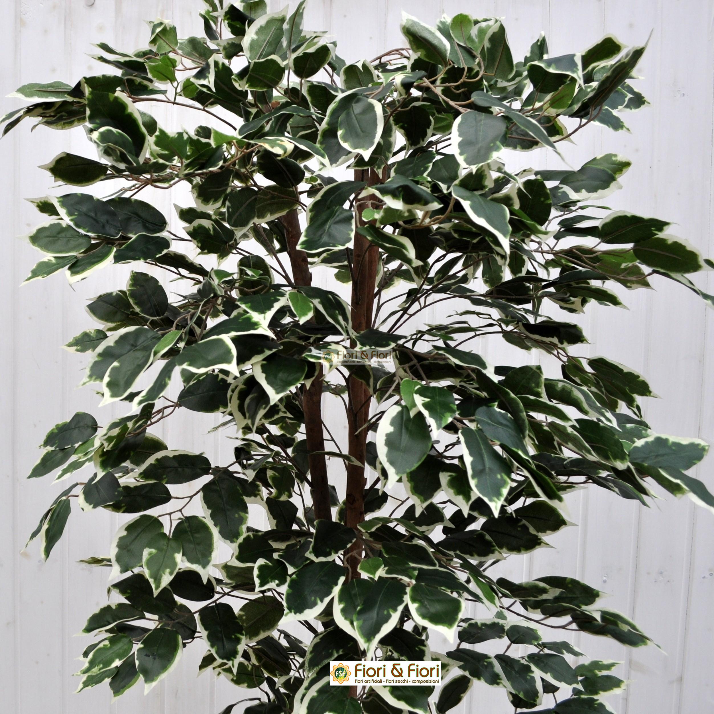 Pianta artificiale Ficus variegato 120h 768 foglie con vaso