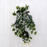 Pothos artificiale verde