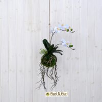 Orchidea artificiale Kokedama grande