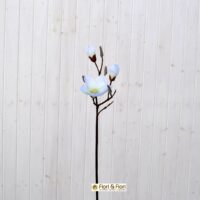 Magnolia artificiale bianca