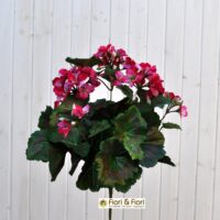 Geranio artificiale pelargonium fucsia