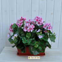 Geranio artificiale pelargonium rosa B ne