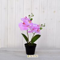 Pianta artificiale phalaenopsis rosa