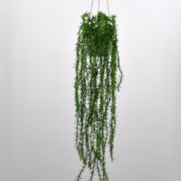 Pianta artificiale asparagina