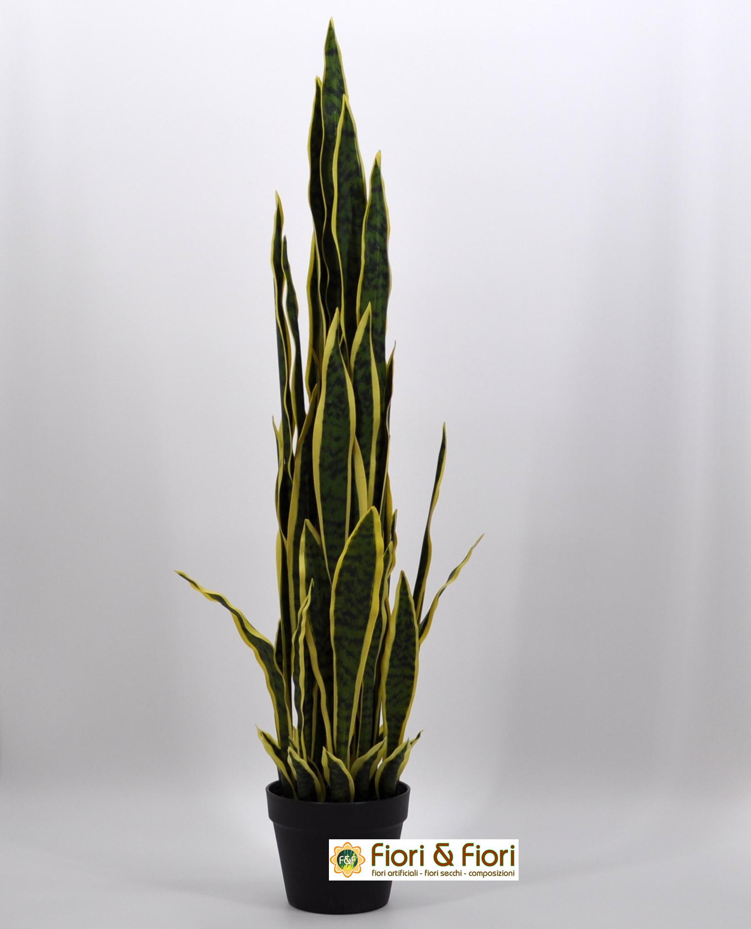 Sanseveria artificiale di alta qualità per decorazioni di interni