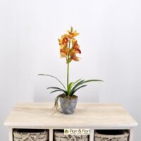 Pianta Cymbidium artificiale arancio