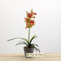 Pianta Cymbidium artificiale verde