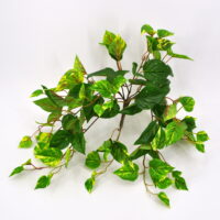 Pothos artificiale real touch medium