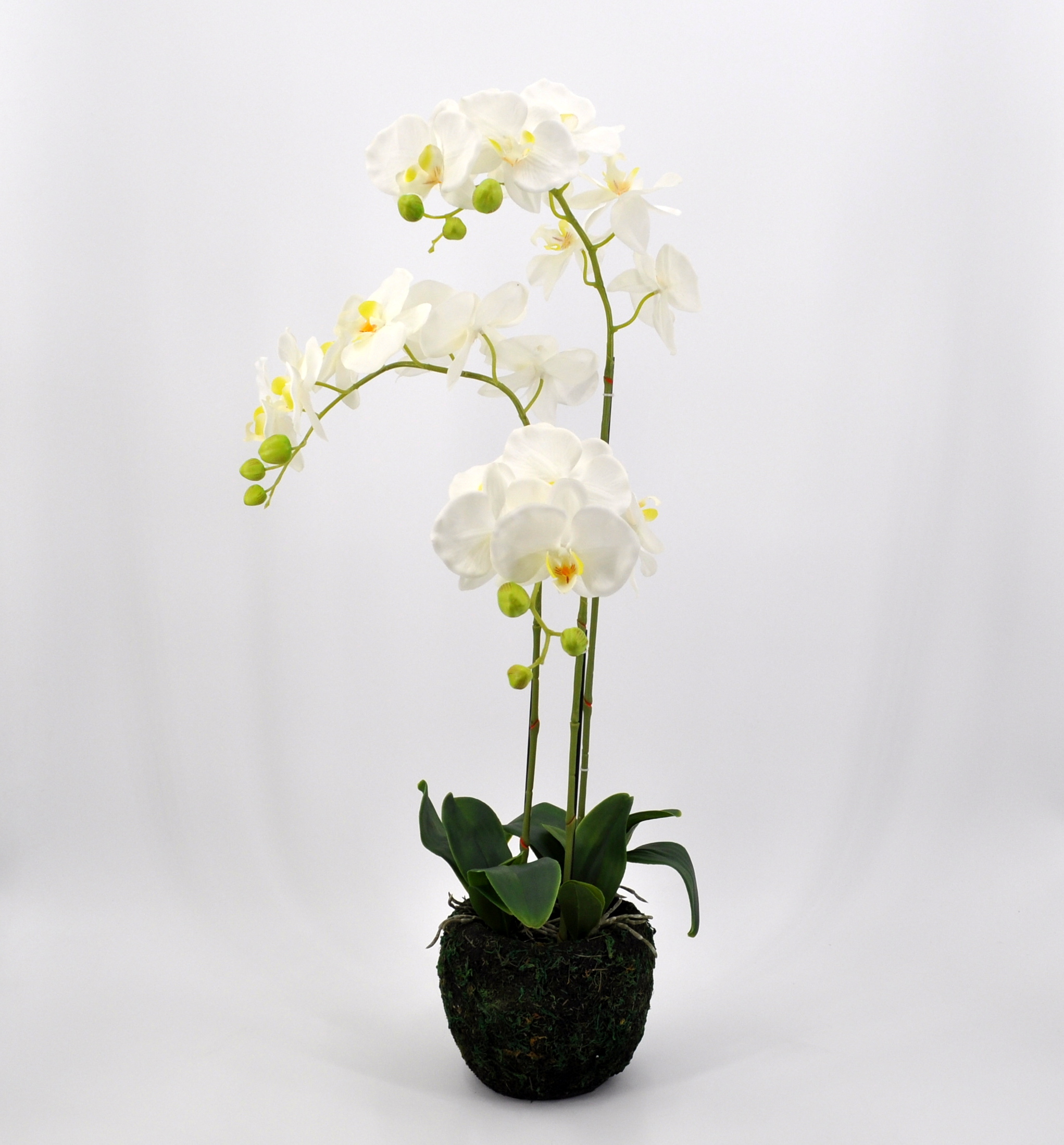 Pianta artificiale con orchidee e vaso a ciambella in ceramica, fiori artificiali realistici con boccioli touch reale in vaso di ceramica, decorazione per tavolo, finestra, altezza 41 cm, blu
