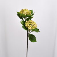 Fiore artificiale Ortensia annabelle crema