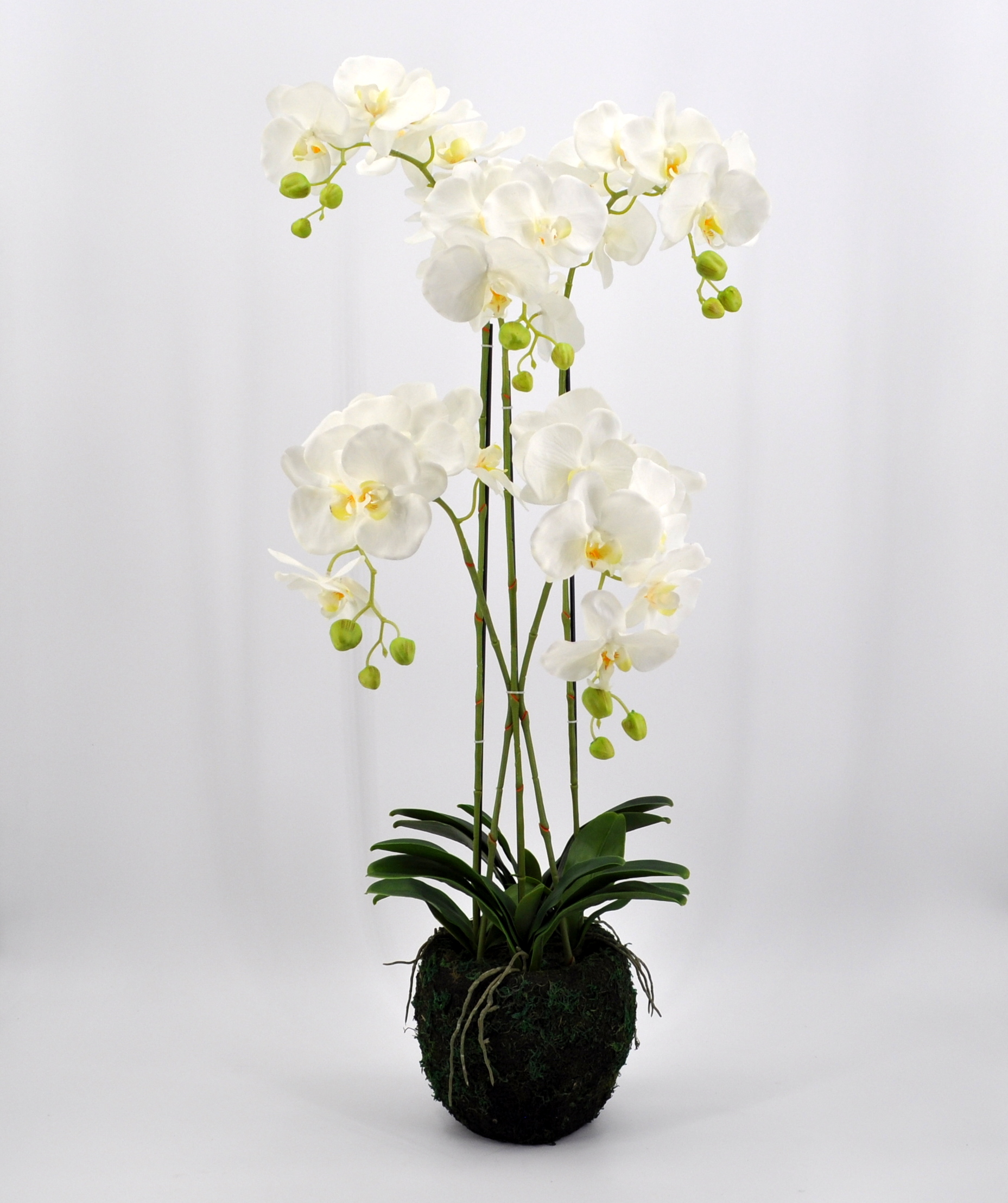 PHALAENOPSIS ORCHIDEA ARTIFICIALE 90CM CON VASO QUADRATO BIANCA FIORI Piante Artificiali 58297181