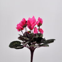Ciclamino artificiale rosa