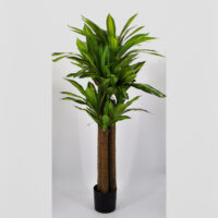 Dracena artificiale cm 160