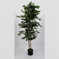 Pianta artificiale Ficus Benjamin verde 150