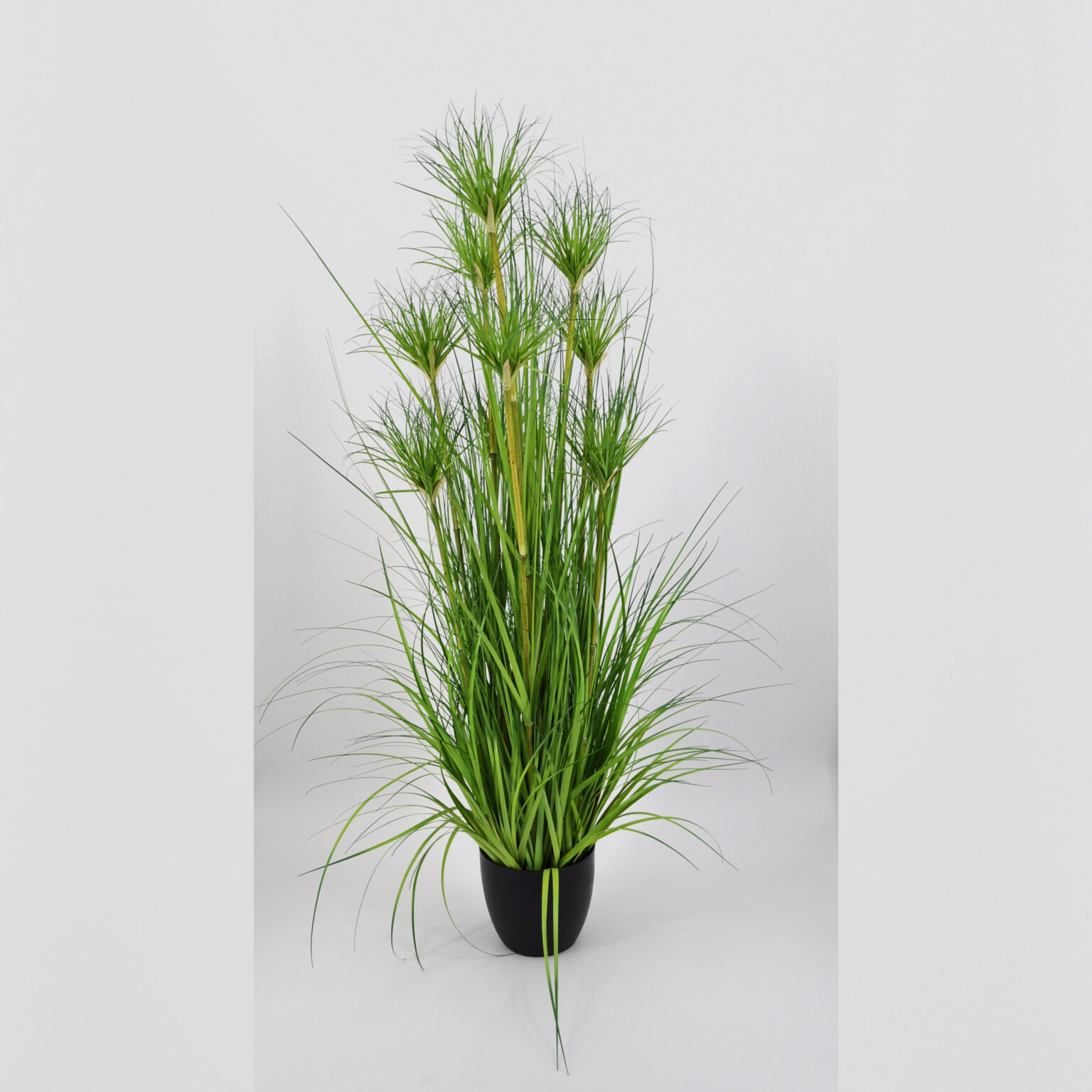 Set Di 6 Rami Di Fiori Di Prugno Artificiali Rossi Lunghi 55 Cm – Decorazione Realistica Per Casa E Ufficio