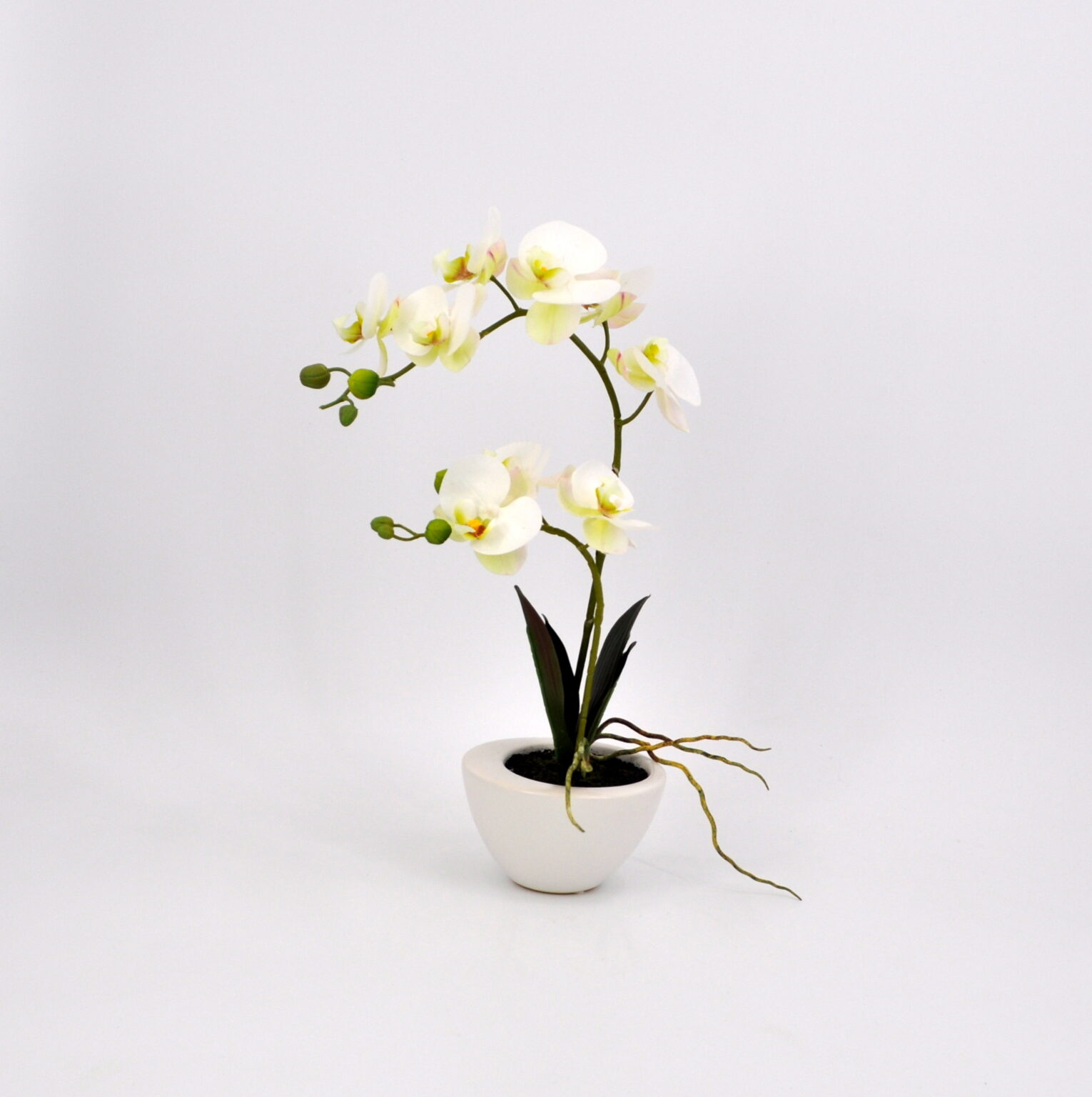 AMERIQUE Orchidea Phalaenopsis Artificiale – 21 Fiori In Seta, 8 Foglie, Altezza 90 Cm Con Vaso, Viola