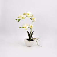 Pianta artificiale Orchidea Phalaenopsis Doris bianca
