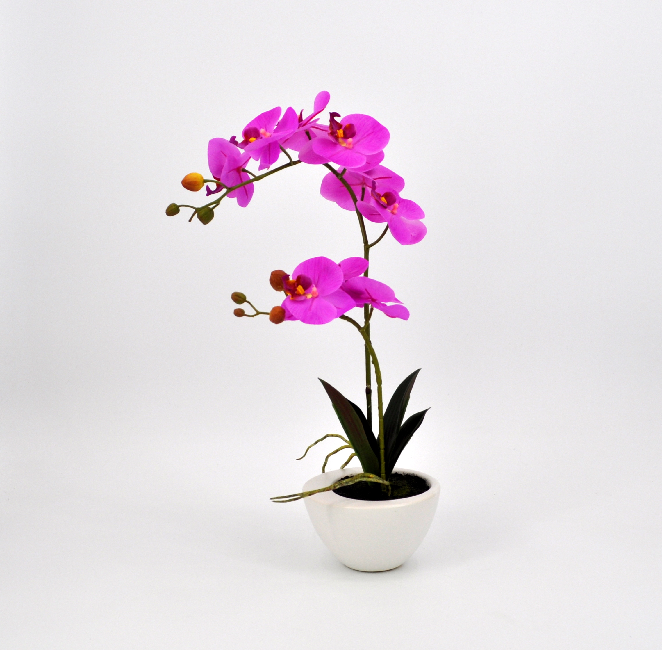 Pianta artificiale Orchidea phalaenopsis in materiale di alta qualità