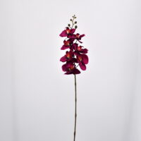 Orchidea phalaenopsis artificiale fucsia