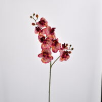 Orchidea Phalaenopsis amabilis artificiale rosso