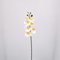 Fiore artificiale Orchidea phalaenopsis bianca