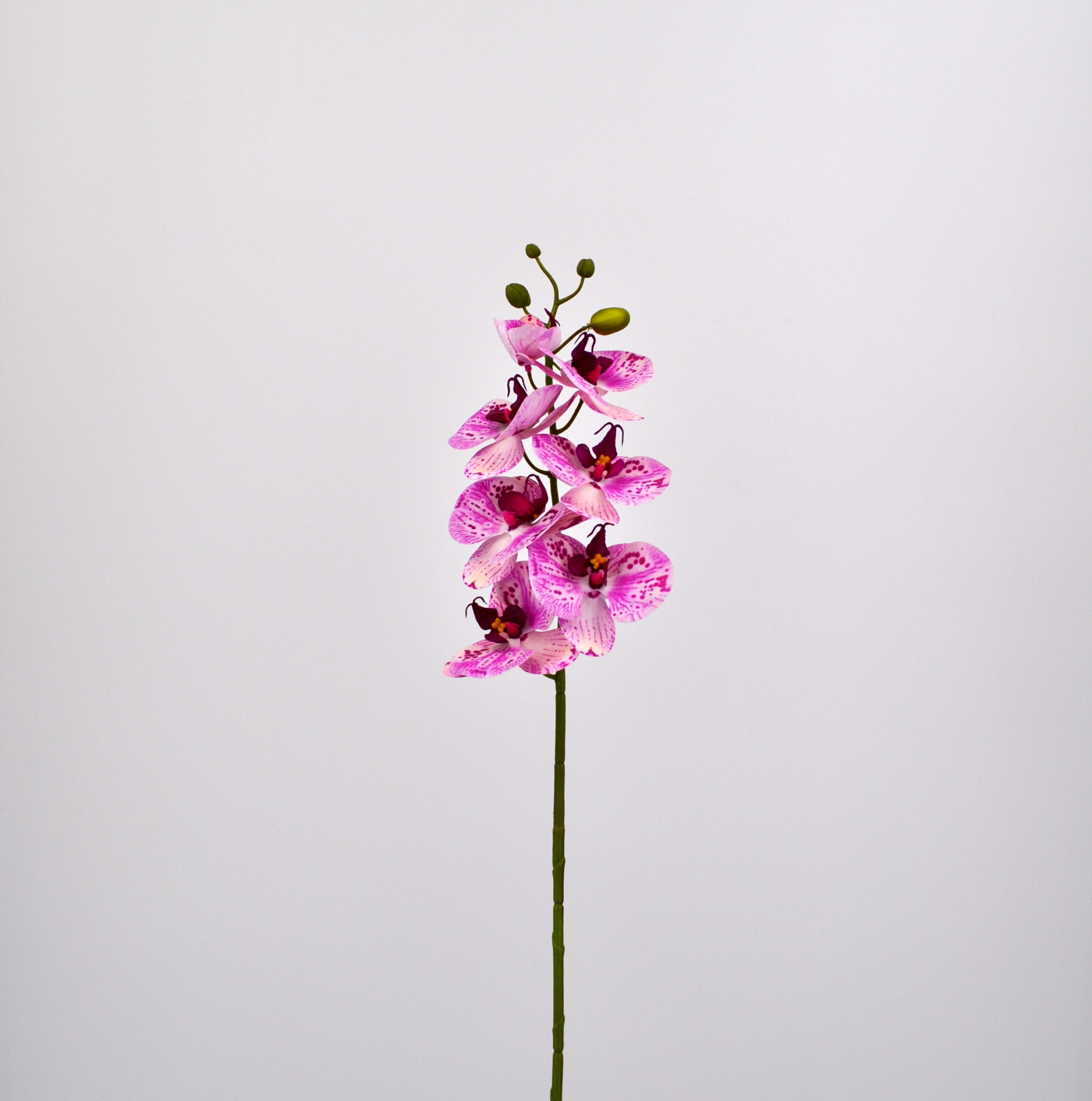 Fiore artificiale Orchidea phalaenopsis rosa