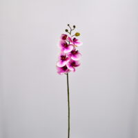 Fiore artificiale Orchidea phalaenopsis fucsia