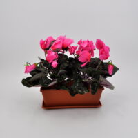 Ciclamino artificiale rosa balcone
