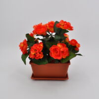Begonia artificiale balcone arancio