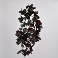 Pianta artificiale Tradescantia rossa medium