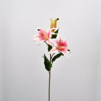 Lilium artificiale rosa