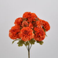 Bouquet Garofano arancio