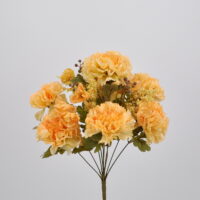 Bouquet Garofano giallo
