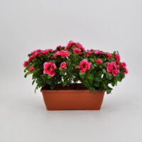 Azalea artificiale balcone fucsia