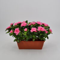 Azalea artificiale balcone rosa