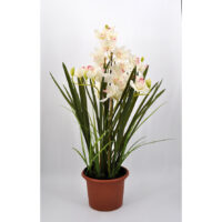 Pianta Orchidea Cymbidium artificiale bianca
