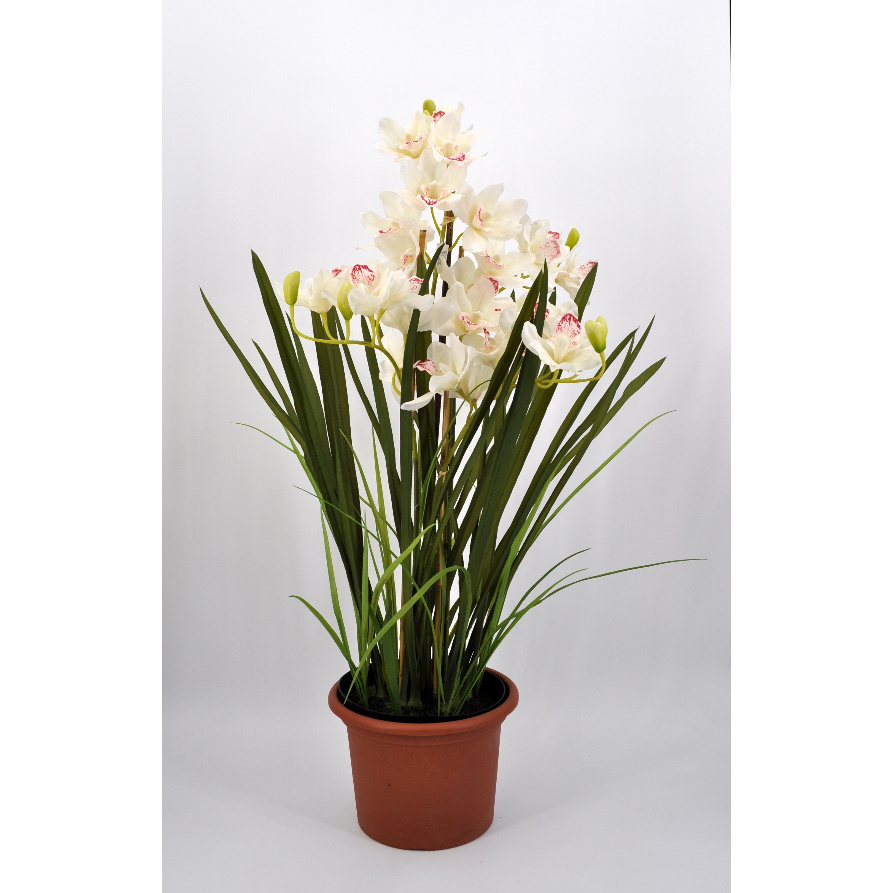Pianta Orchidea Cymbidium artificiale bianca in materiale real touch