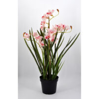 Pianta Orchidea Cymbidium artificiale rosa