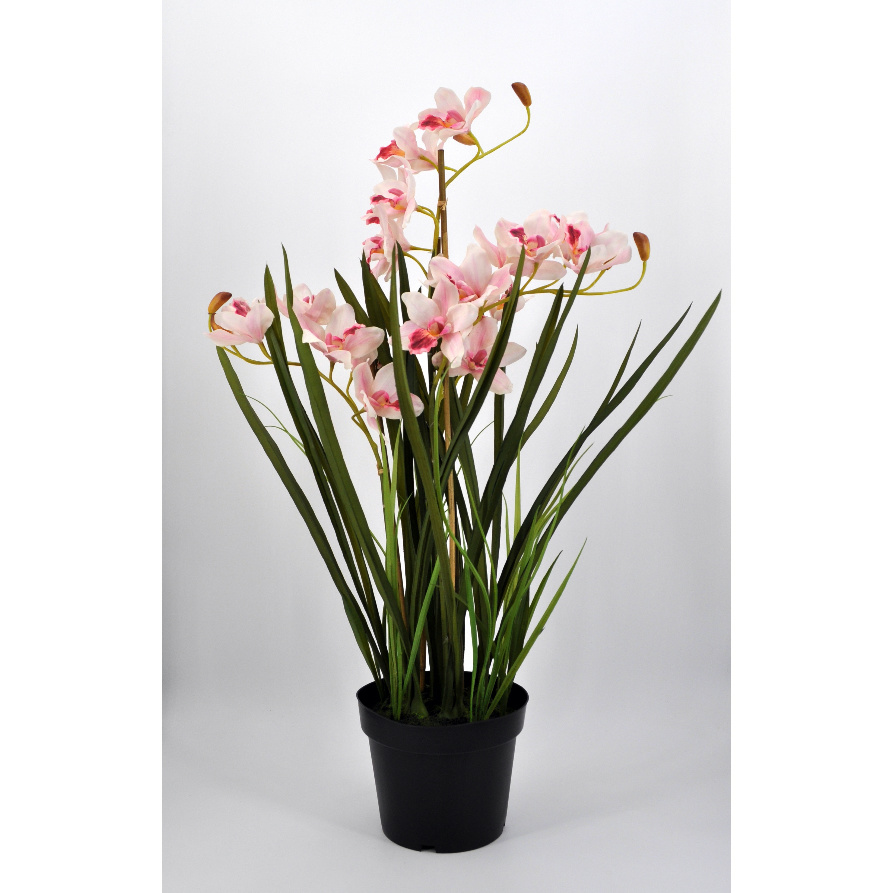 Pianta Orchidea Cymbidium artificiale rosa in materiale real touch
