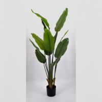 Pianta artificiale Strelitzia