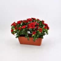 Azalea artificiale balcone rosso