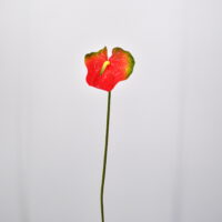 Fiore artificiale Anthurium rosa